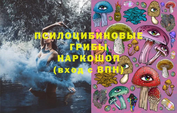 кокс Инсар