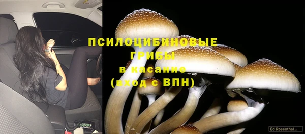 меф Инта