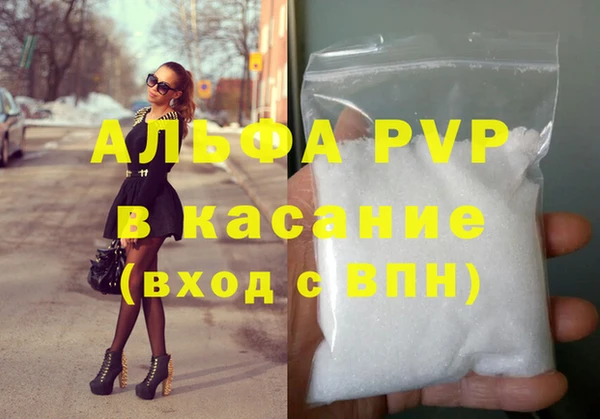 кокс Инсар