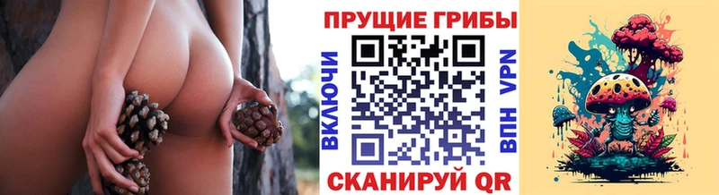 Псилоцибиновые грибы Psilocybine cubensis  Купить  Сертолово 