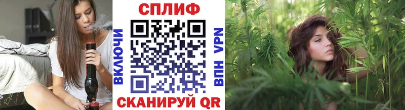 Каннабис тримм  Купить закладки  Сертолово 